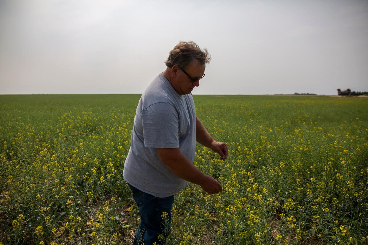 Saskatchewan Senator, Farmer Todd Lewis Dies at Age 65