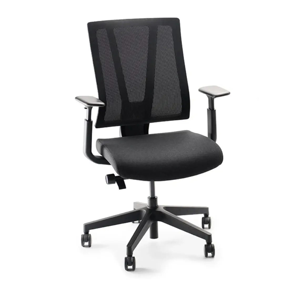 Clarksville Ergonomic Chair