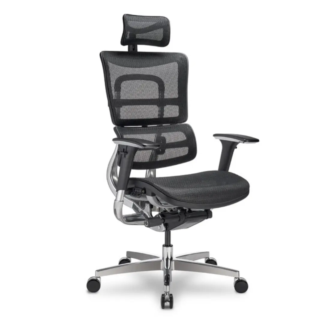 Intuition Ergonomic Chair with Headrest