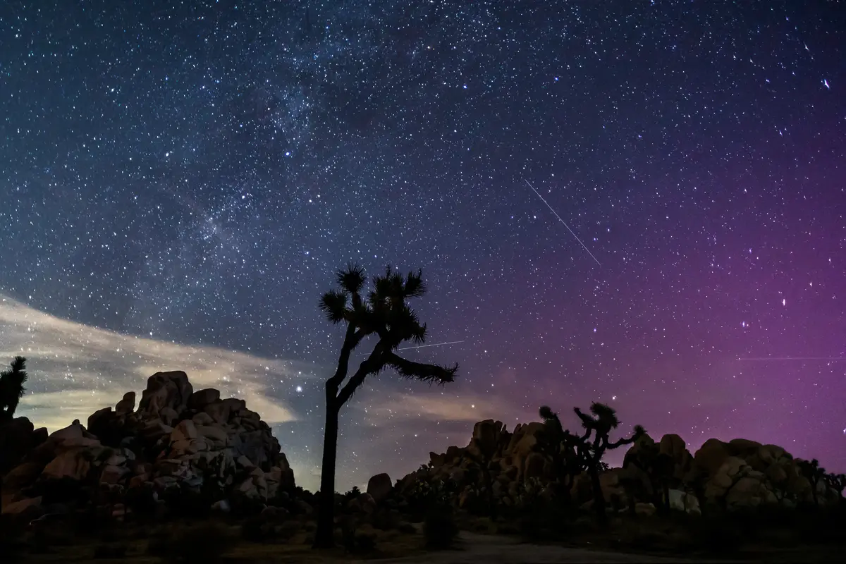 2024年8月12日,加利福尼亚州约书亚树国家公园(Joshua Tree National Park),英仙座流星雨期间,北极光照亮了约书亚树国家公园的夜空。(Apu Gomes/AFP via Getty Images)