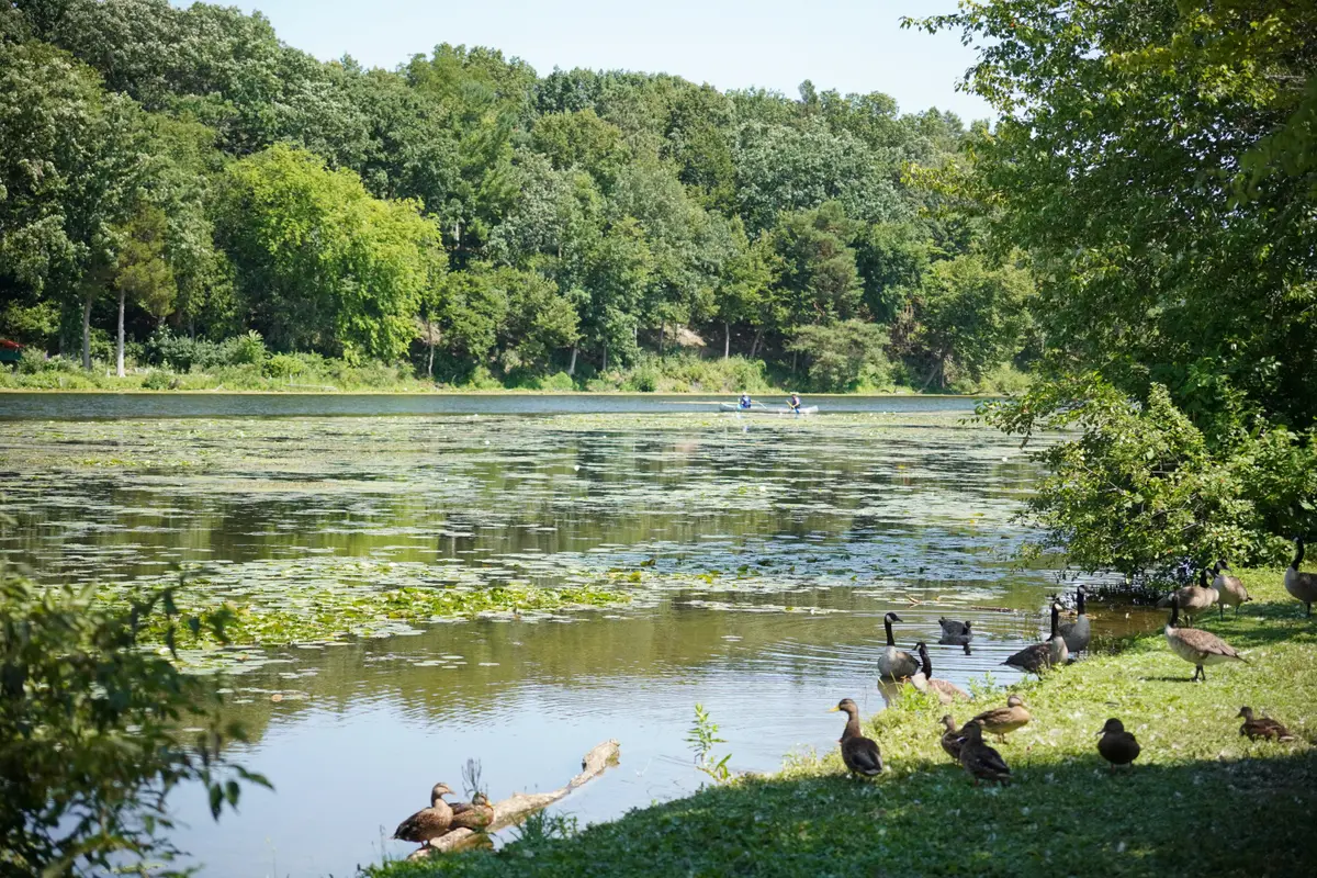 Gallup Park in Ann Arbor, Mich., on Aug. 3, 2026. (Jacob Burg/The Epoch Times)