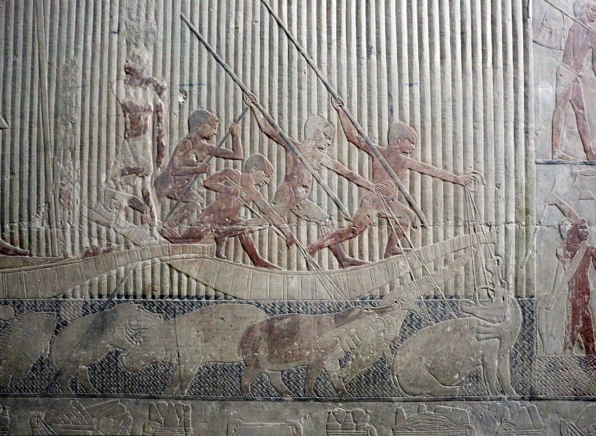 A hippopotamus hunt scene in the marshes from the Tomb of Ty (also known as the Mastaba of Ti) at Saqqara, Egypt. (<a title="User:Sailko" href="https://commons.wikimedia.org/wiki/File:V_dinastia,_mastaba_di_ti,_2400_ac_ca._17_pesci_02.JPG">Sailko</a>/ <a title="Category:CC-BY-3.0" href="https://commons.wikimedia.org/wiki/Category:CC-BY-3.0">CC-BY-3.0</a>)