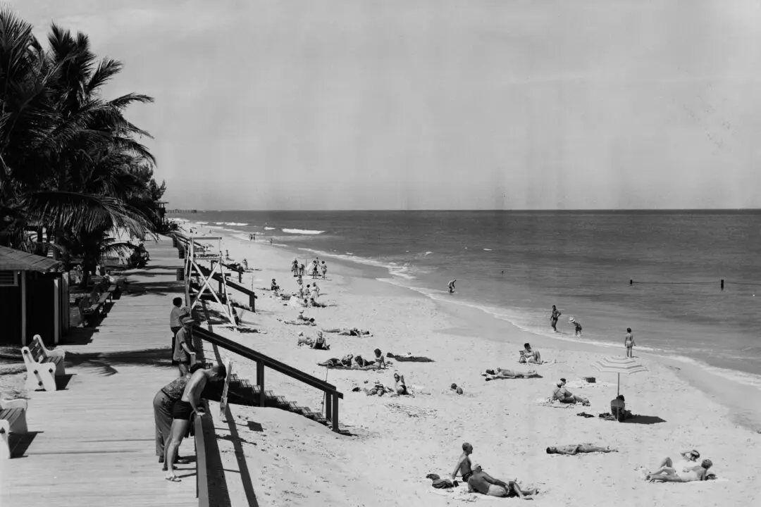 Why We Go to the Beach