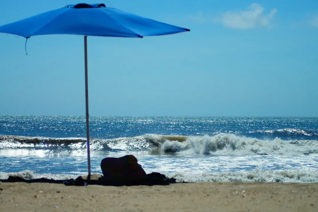 Why We Go to the Beach