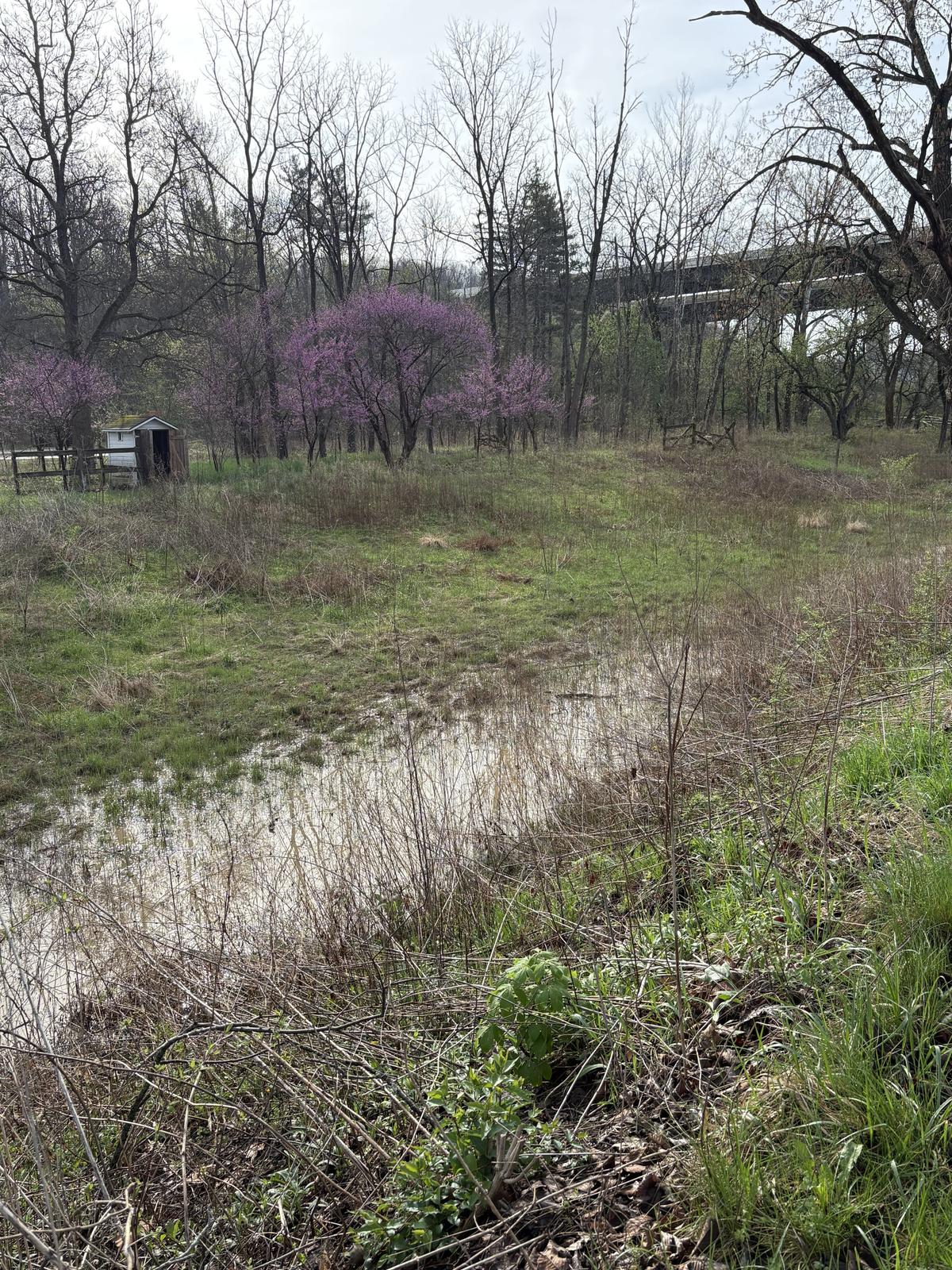 This shallow ditch is a faint reminder of the canal that once supported Boston, Ohio. (Deena Bouknight)
