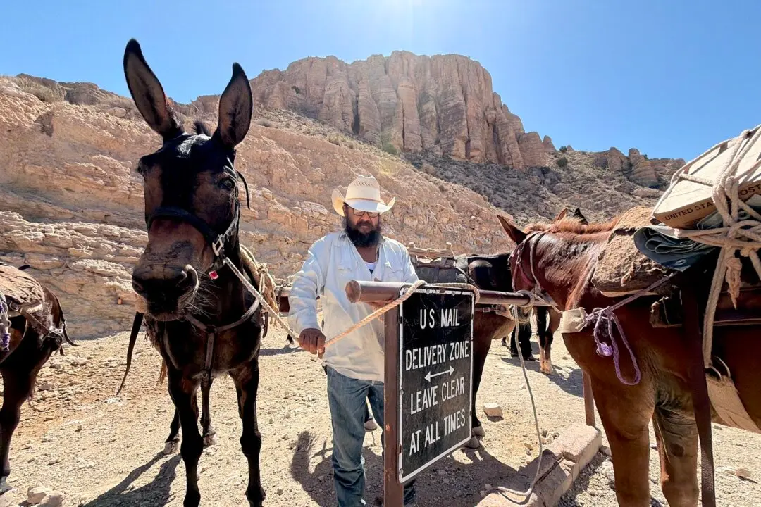 The Last of the Mule Mail Carriers