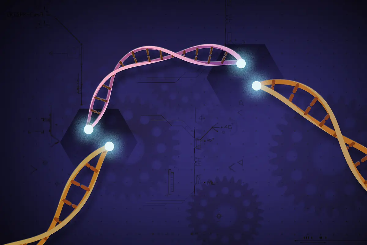 Another Child Death in China Gene-Editing Trial Disclosed Nearly a Year Later