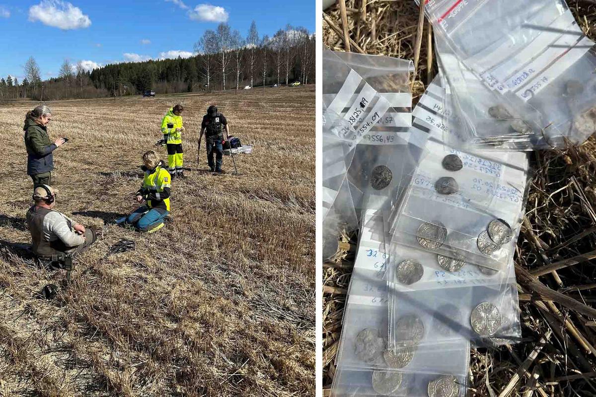 Regional researchers from the Innlandet County Authority set about excavating the hoard immediately after over 19 silver coins were discovered and reported on April 10, 2026. (Innlandet County Authority)