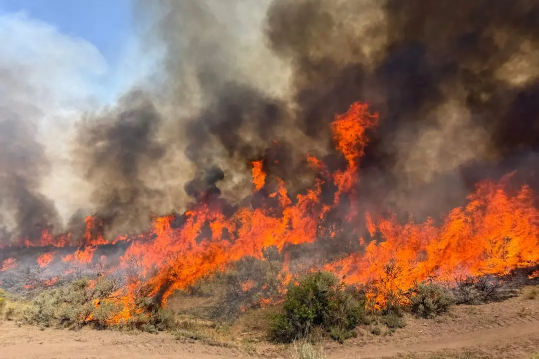 Helicopter Battling Utah Wildfire Crashes as Blaze Kills Dozer Operator in Oregon