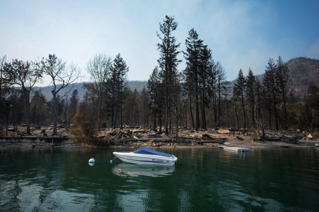 BC Police Launch Wildfire Arson Investigations, as Blazes Raise Trauma in Shuswap