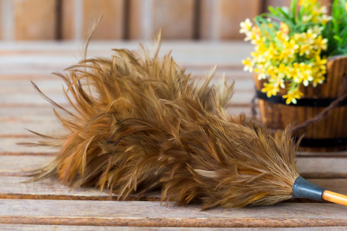 The Neglected Feather Duster