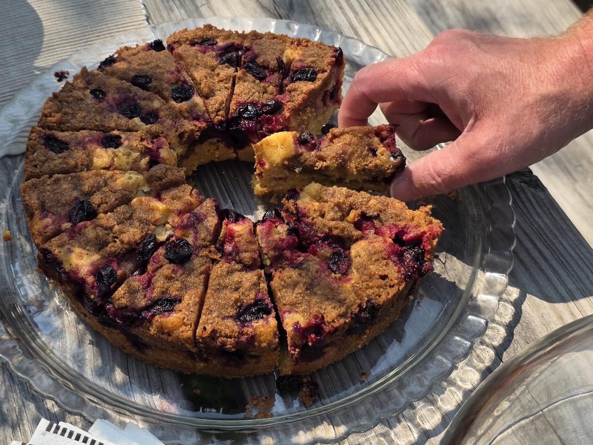After giving a Calgary-based church group a tour, the Friesens provided homemade goodies, such as this cake baked with haskaps and other berries. (The Epoch Times/Jason G. Antonio)