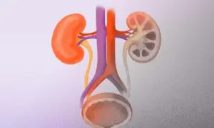 Your Kidneys and Bladder May Be Failing Faster—and Why That’s Happening