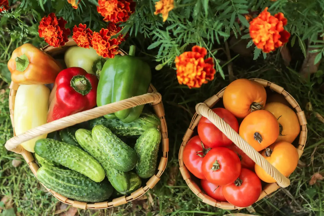 August Garden Checklist: What to Do Now
