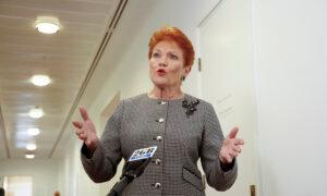 Senate Backs Inquiry Into Hanson’s Bill to Block Foreign Terror Fighters