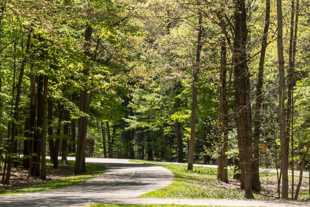 Reclaiming the Middle: Chautauqua’s Slow Push Toward Balance