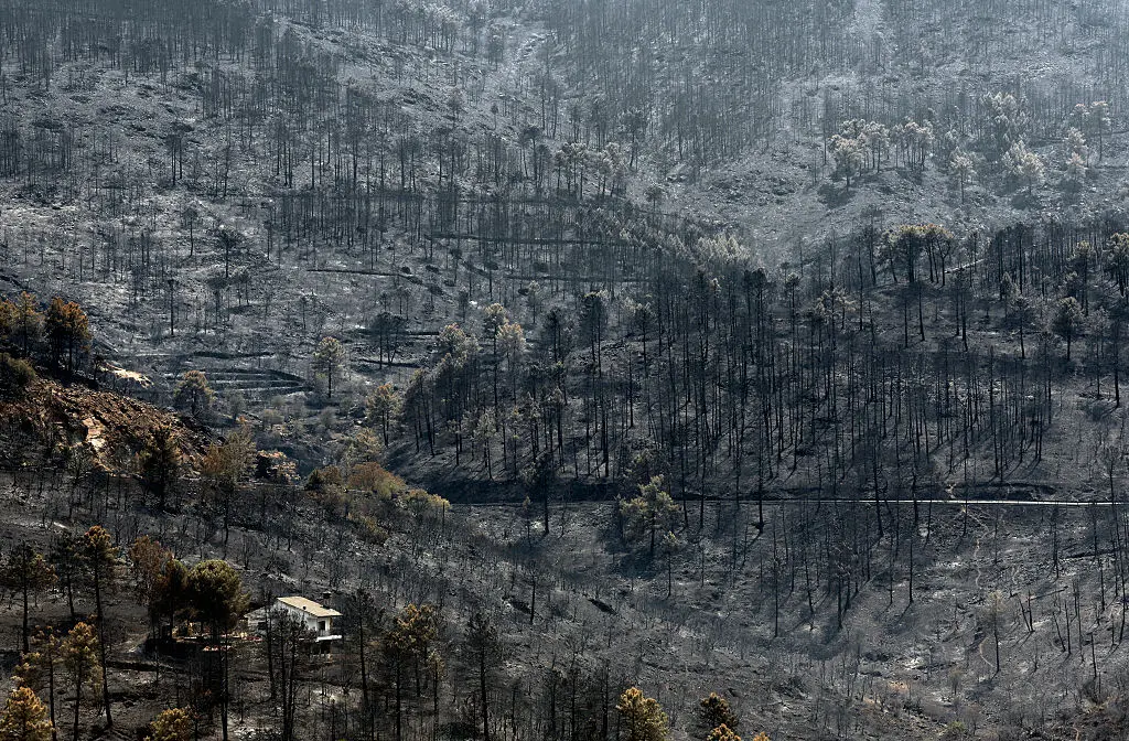 A house in the Iruelas Valley is surrounded by mountain slopes scorched by a wildfire, near El Tiemblo, 80 kilometers west of Madrid, on July 29, 2026. (Pierre-Philippe Marcou/AFP via Getty Images)