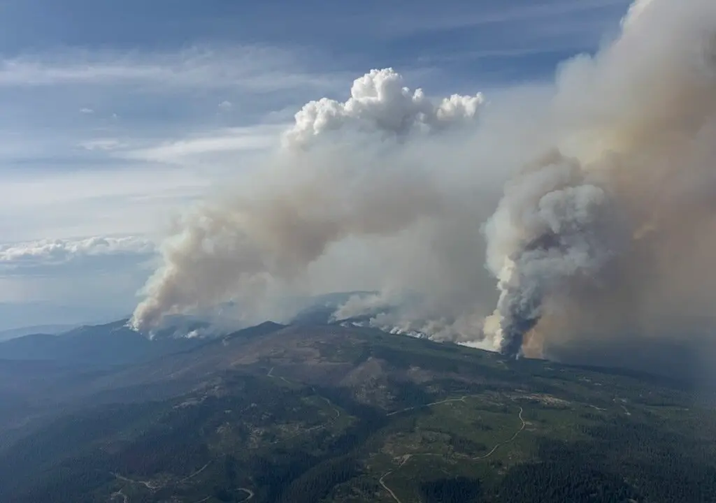 Residents Warned to Prepare for Changes When Returning Home After a Wildfire
