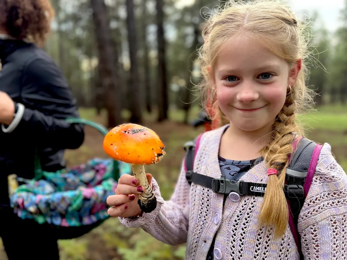 Jovie, 7, daughter of Michelle Lindsay, holds a colorful mushroom during an Aug. 14, 2026 foray sponsored by the Arizona Mushroom Society. (Allan Stein/The Epoch Times)