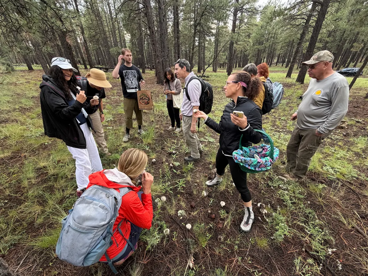 Amateur mushroom hunters gather near a cluster of wild mushrooms in the Coconino National Forest near Flagstaff, Ariz., on Aug. 14, 2026. (Allan Stein/The Epoch Times)