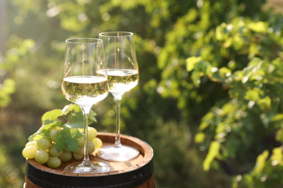 What Slaughtered Pigs Can Teach Us About Europe’s Wine Policy