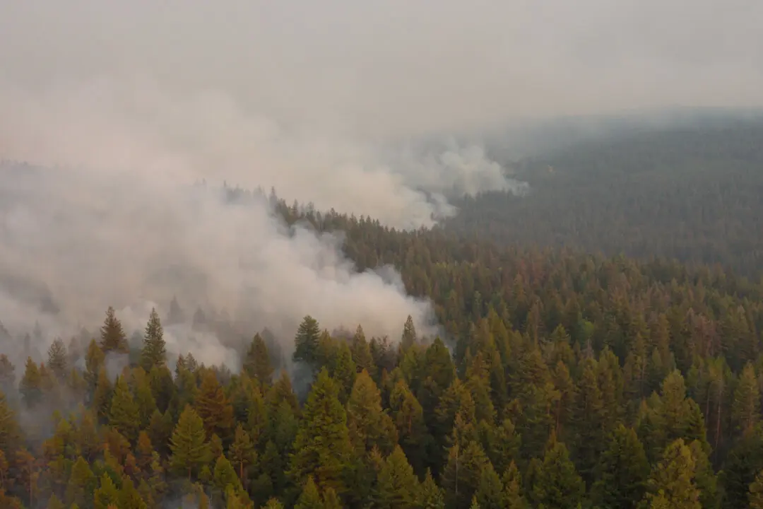 Wildfire Near Summerland, BC, Remains Active as Residents Return