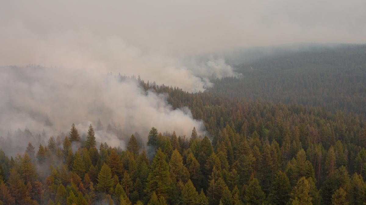 Wildfire Near Summerland, BC, Remains Active as Residents Return