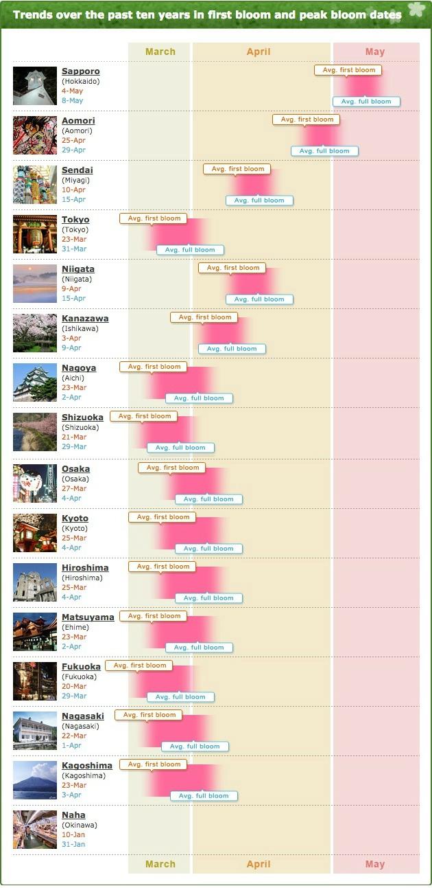 An infographic of the trends over the last 10 years of first cherry blooms Japan. (Screenshot jnto.go.jp)