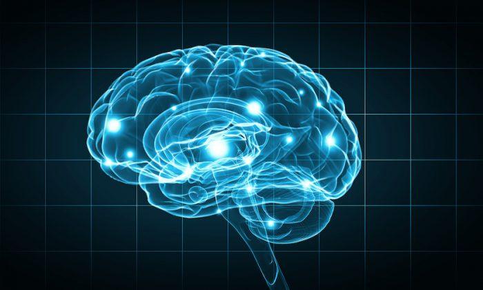 Sydney Researchers Build Dementia Predicting Technology