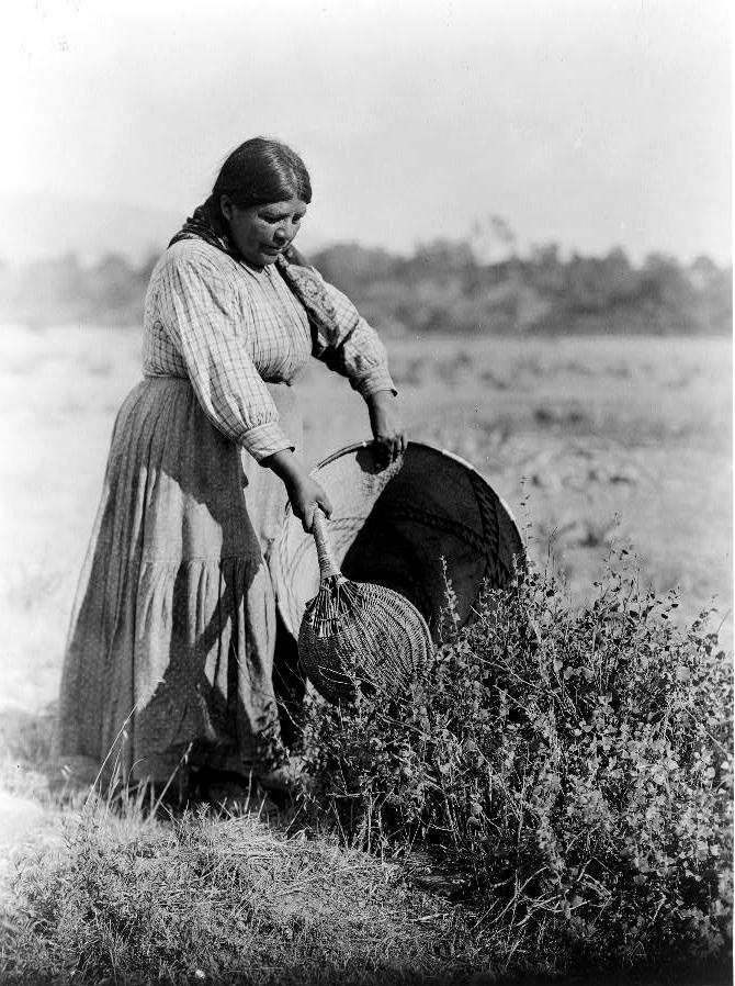 (Edward S. Curtis/Library of Congress)