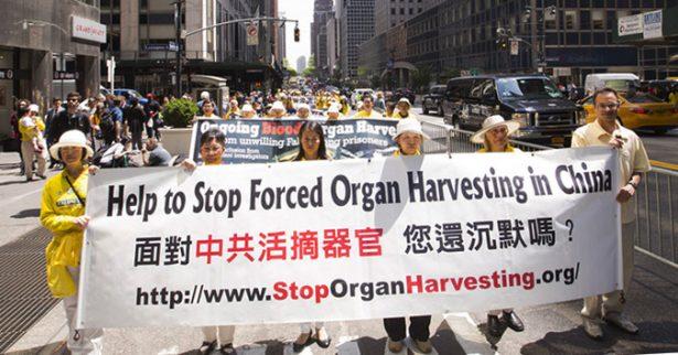 Falun Gong practitioners gathered on World Falun Dafa in New York City, on May 13, 2015. (NTD)