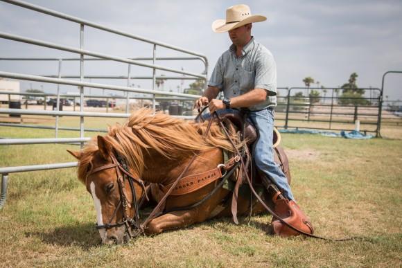 Border Patrol Agent and horse instructor Sean Davis with Vega, a horse named after fallen agent Javier Vega, Jr., in Edinburg, Texas, on May 26, 2017. Javier Vega was shot and killed by two illegal aliens when he attempted to stop them from robbing him and his family while they were out fishing on Aug. 3, 2014. (Benjamin Chasteen/The Epoch Times)