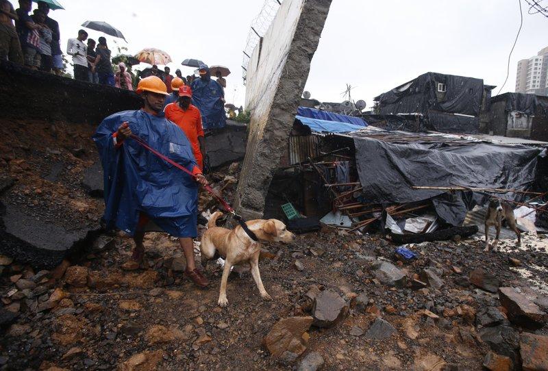 A rescuer brings a sniffer dog to the spot after heavy rainfall caused a wall to collapse onto shanties, in Mumbai, India on July 2, 2019. (Rafiq Maqbool/AP Photo)