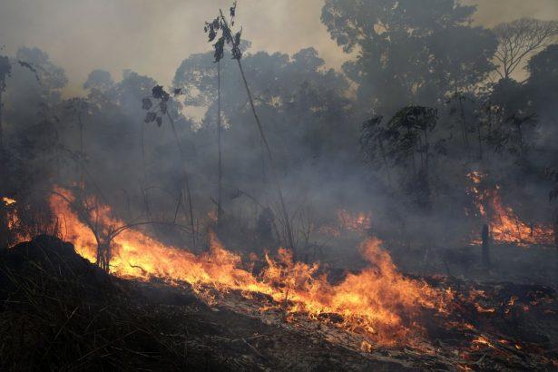 A fire burns along the road to Jacunda National Forest, near the city of Porto Velho in the Vila Nova Samuel region which is part of Brazil's Amazon, on Aug. 26, 2019. (Eraldo Peres/AP Photo)