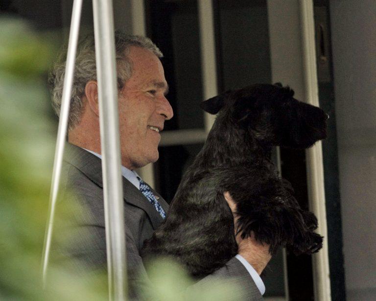 President Bush picks-up his dog Barney, a Scottish Terrier, before walking into the main residence of the White House following his arrival, Wednesday, Oct. 15, 2008 in Washington. (AP Photo/Pablo Martinez Monsivais)