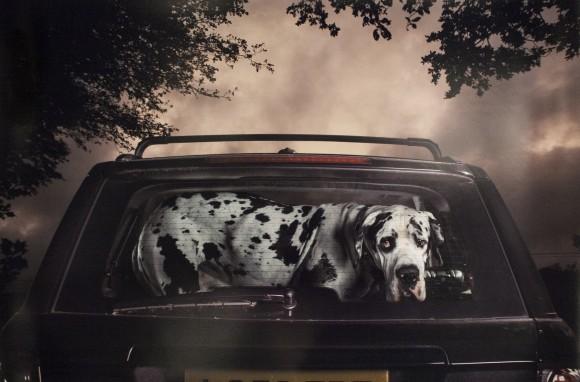 A photo by Martin Usborne from his series The Silence of Dogs in Cars, at the booth of Lee Marks, AIPAD photography show April 9, 2014, New York. (Samira Bouaou/Epoch Times)