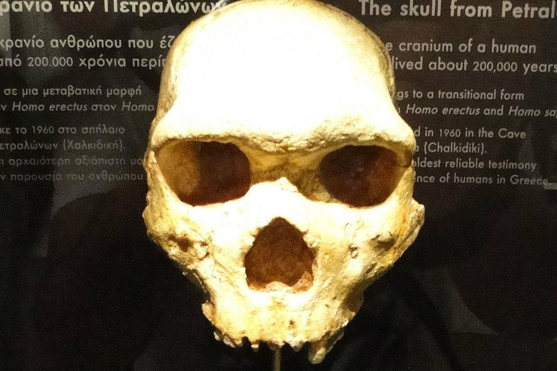 Petralona Skull