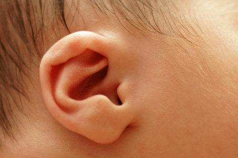 Baby's Ear