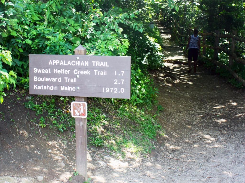 Appalachian trail (BesuDesu Abroad)