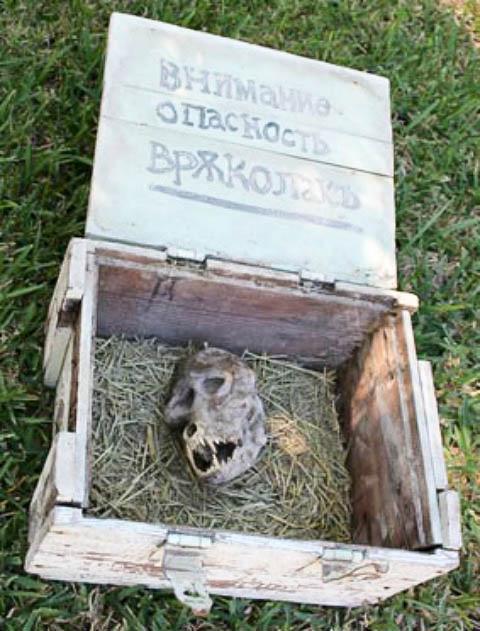 The werewolf-like skull was found in a box that was chained shut. (Filip Ganev)