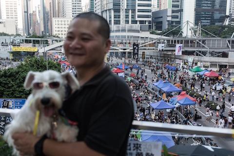 A tourist poses with his dog on a footbridge above a barricaded main road occupied by pro-democracy protestors in the Admiralty district of Hong Kong on Oct. 11, 2014. (Anthony Wallace/AFP/Getty Images)