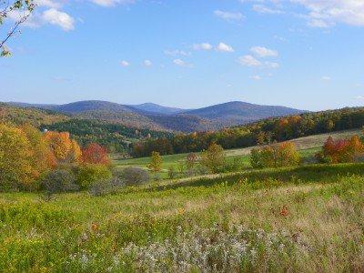 Fields on Mauer's Mountain Farms, in the Catskills, N.Y. (Courtesy of Mauer's Mountain Farms)