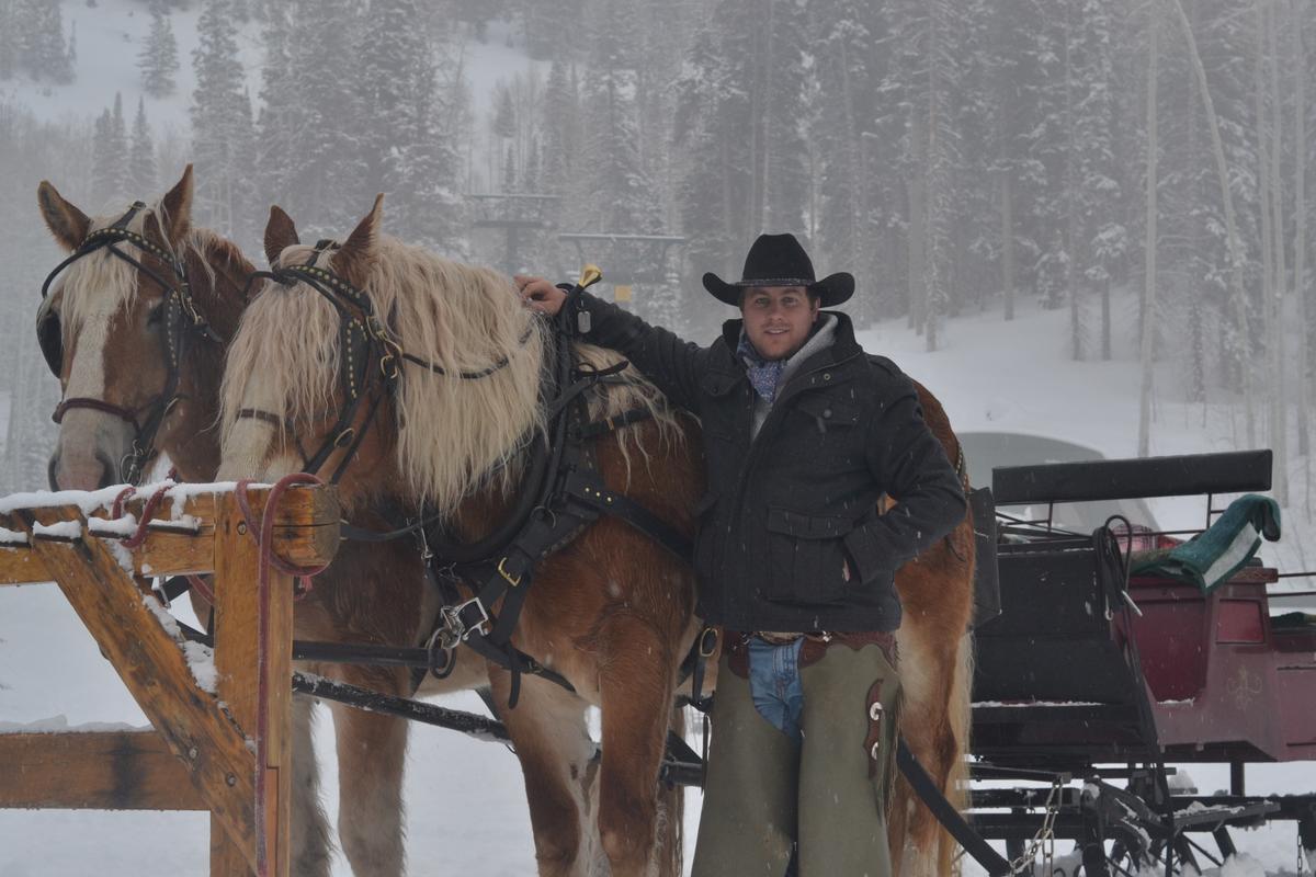 A cowboy prepares to give visitors a sleigh ride at Deer Valley Resort. (Cary Dunst/ Epoch Times)