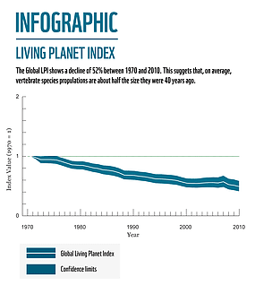 Half of life gone in 40 years. (WWF 2014. <a href="http://wwf.panda.org/about_our_earth/all_publications/living_planet_report/living_planet_index2/" target="_blank">Living Planet Report</a>. WWF International, Gland, Switzerland.)