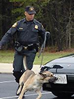 Secret Service Canine Explosives Detection Unit screens vehicles and event sites for explosives. (Courtesy of U.S. Secret Service)