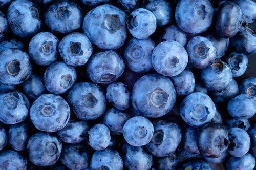 Blueberries are an excellent source of antioxidants. (Shutterstock.com)