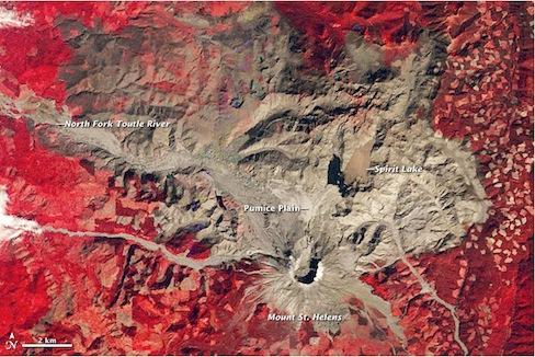 Vegetation on Mount St. Helens (red) after the May 18, 1980 eruption. (USGS)