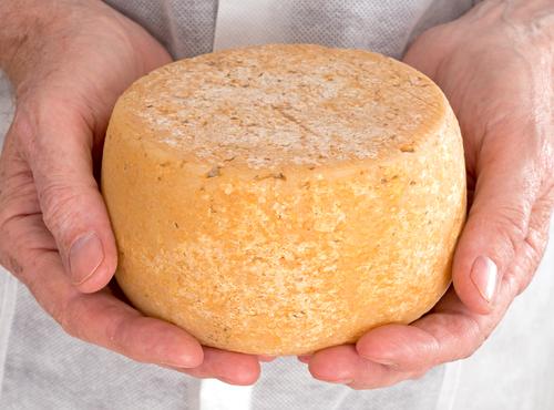 Cheese is among the tastiest low-carbohydrate foods. (<a href="http://www.shutterstock.com/pic-139861999/stock-photo-rustic-hand-made-gourmet-cheese-with-producer.html?src=q0w44LxofhrHMpM43MPTuA-1-0" target="_blank">Shutterstock</a>)