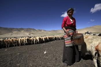 <a href="https://www.theepochtimes.com/assets/uploads/2015/07/TibetanHerdsman809061301242016--ss_medium.jpg"><img src="https://www.theepochtimes.com/assets/uploads/2015/07/TibetanHerdsman809061301242016--ss_medium.jpg" alt="Tibetan Herdsman (Getty Images)" title="Tibetan Herdsman (Getty Images)" width="320" class="size-medium wp-image-73406"/></a>