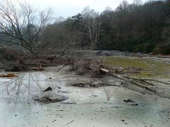 <a href="https://www.theepochtimes.com/assets/uploads/2015/07/UnitedMountainDefensegroundpics041_medium.jpg"><img src="https://www.theepochtimes.com/assets/uploads/2015/07/UnitedMountainDefensegroundpics041_medium.jpg" alt="This river is choked with toxic coal ash. (United Mountain Defense)" title="This river is choked with toxic coal ash. (United Mountain Defense)" width="320" class="size-medium wp-image-99131"/></a>